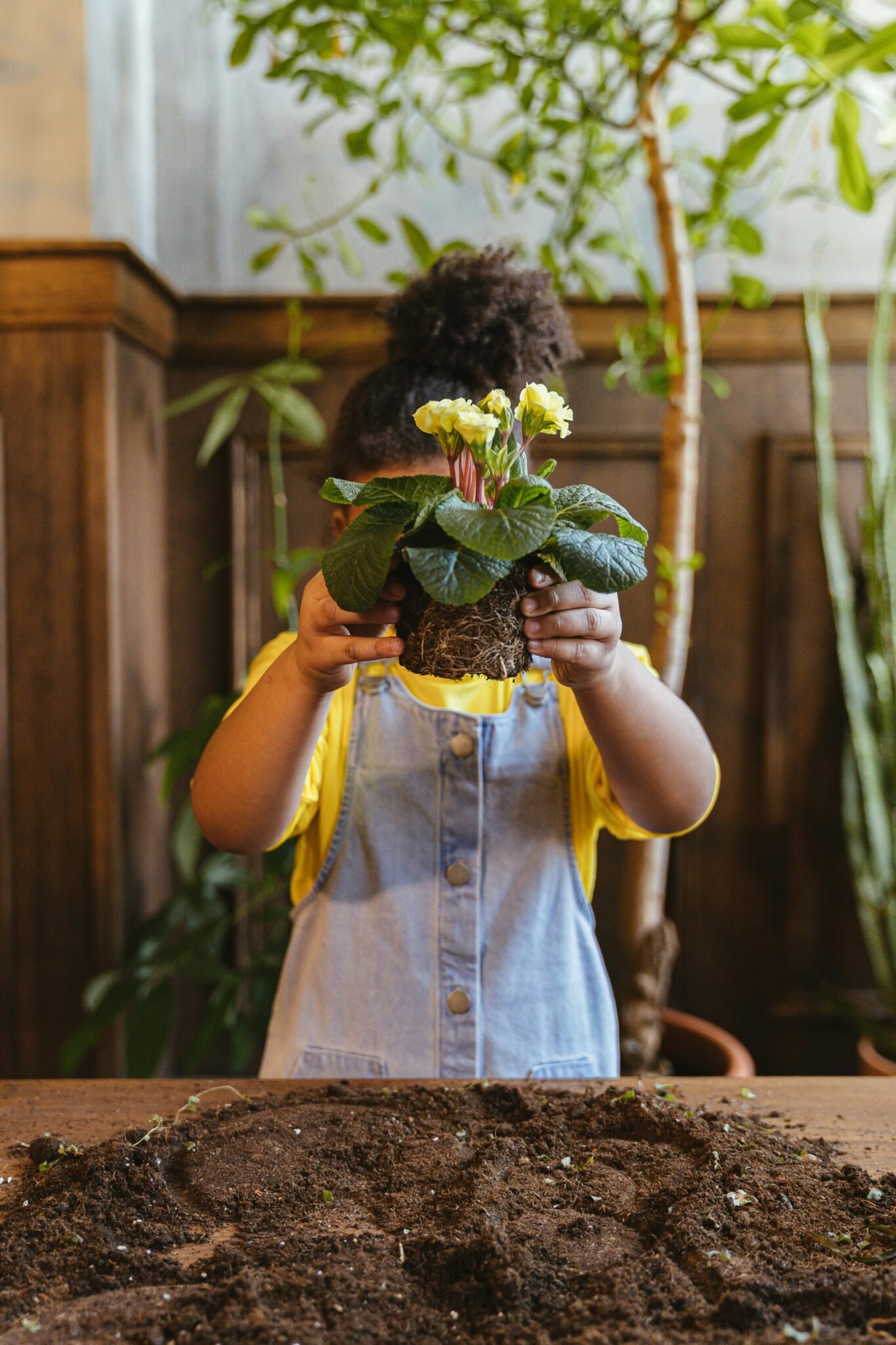 Young girl with yellow flowers, emphasizing botany indoors.